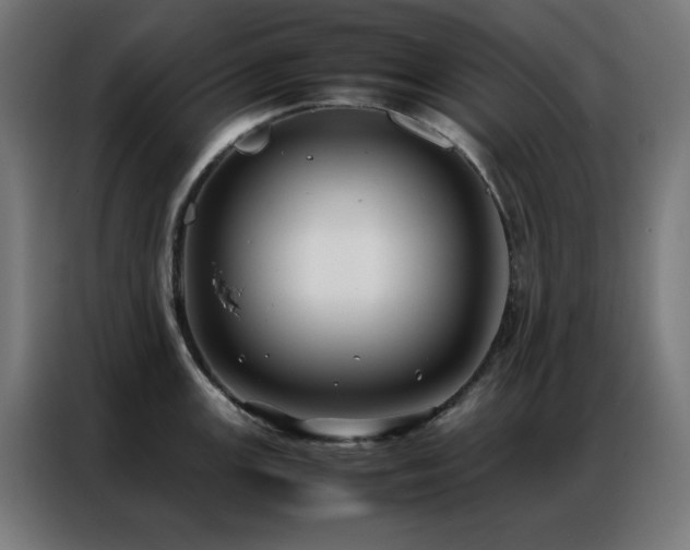X0000086991147200704161501