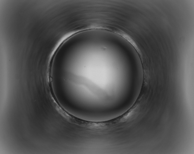 X0000086991148200704161501