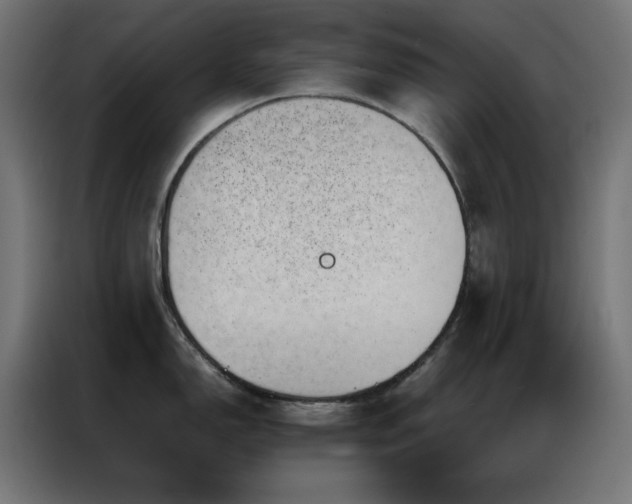 X0000086991150200704161501