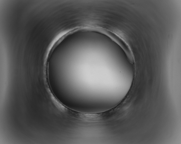 X0000086991152200704161501