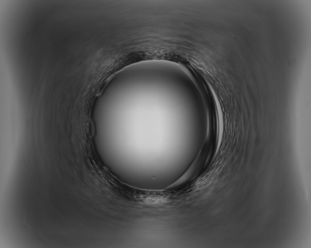X0000086991153200704161501