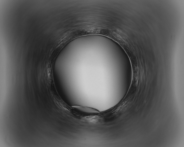 X0000086991154200704161501