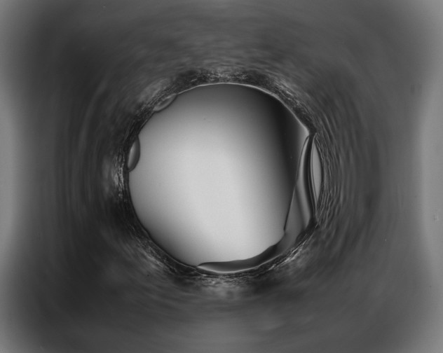 X0000086991155200704161501