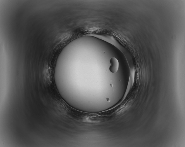 X0000086991156200704161501