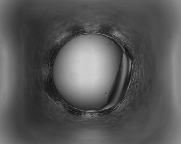 X0000086991157200704161501