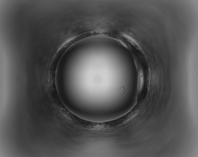 X0000086991160200704161501