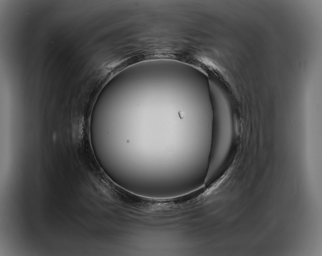 X0000086991161200704161501