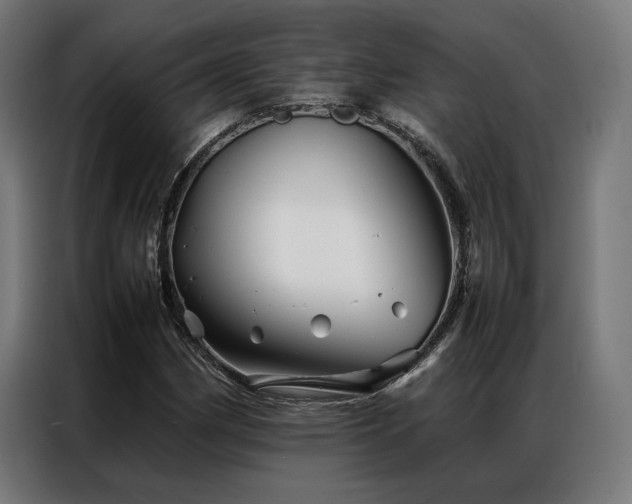 X0000086991162200704161501