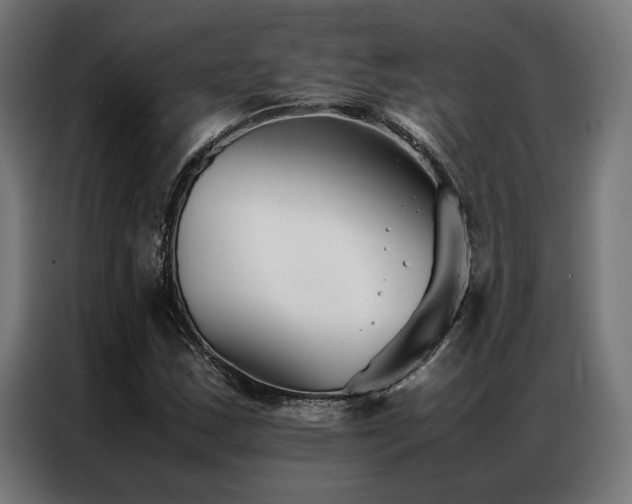 X0000086991163200704161501