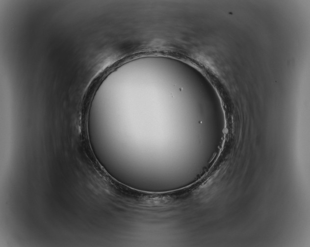X0000086991165200704161501