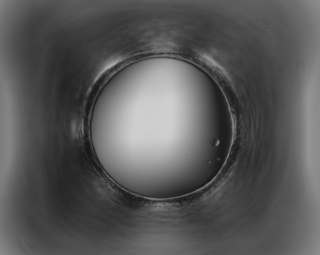 X0000086991166200704161501
