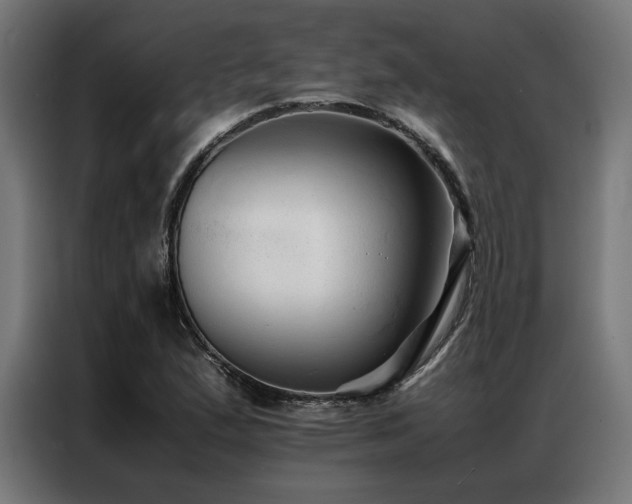 X0000086991167200704161501