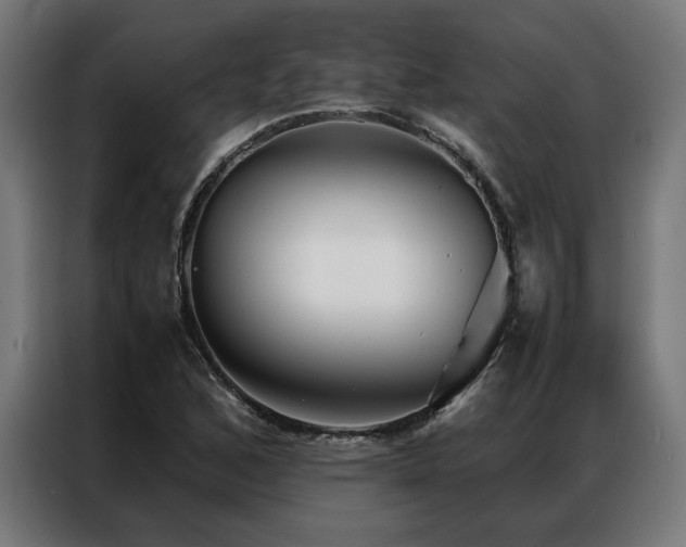 X0000086991168200704161501