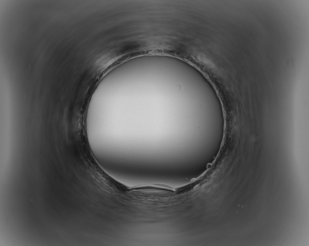 X0000086991169200704161501