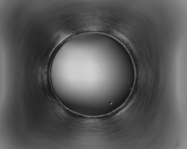 X0000086991170200704161501