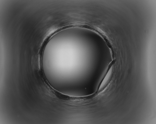 X0000086991171200704161501