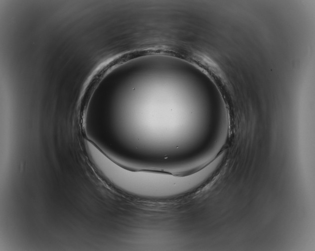 X0000086991172200704161501