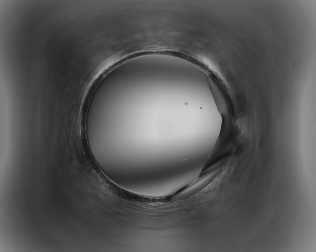 X0000086991173200704161501