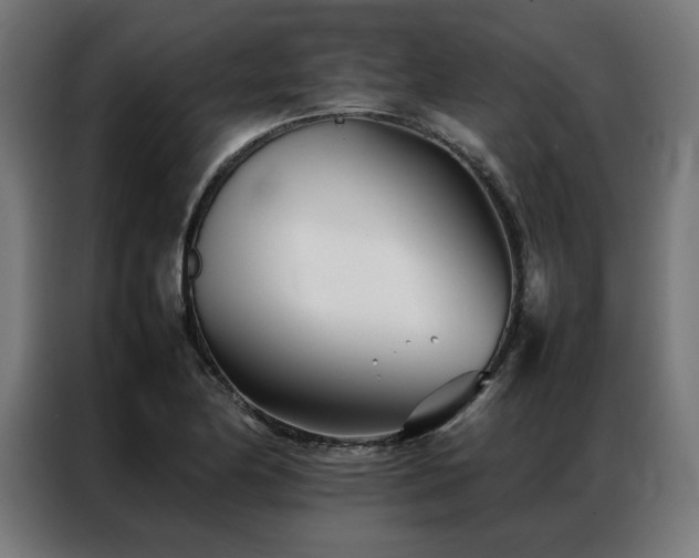 X0000086991174200704161501