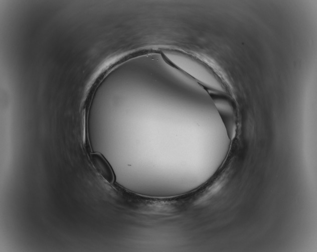 X0000086991175200704161501