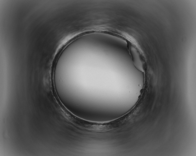 X0000086991176200704161500