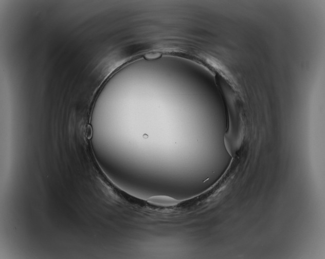 X0000086991177200704161500