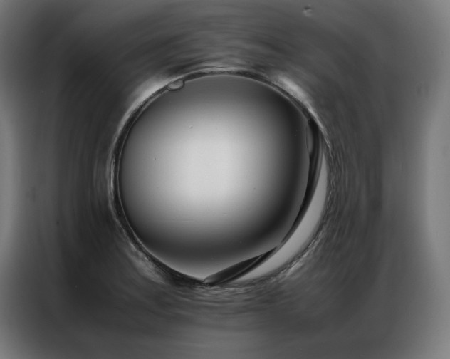 X0000086991179200704161500
