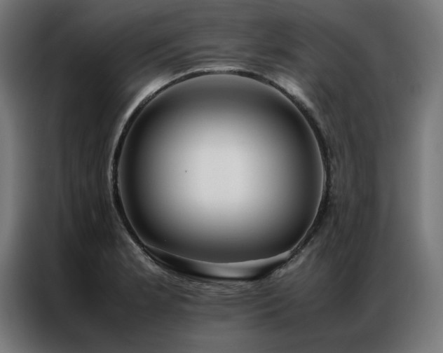 X0000086991181200704161500