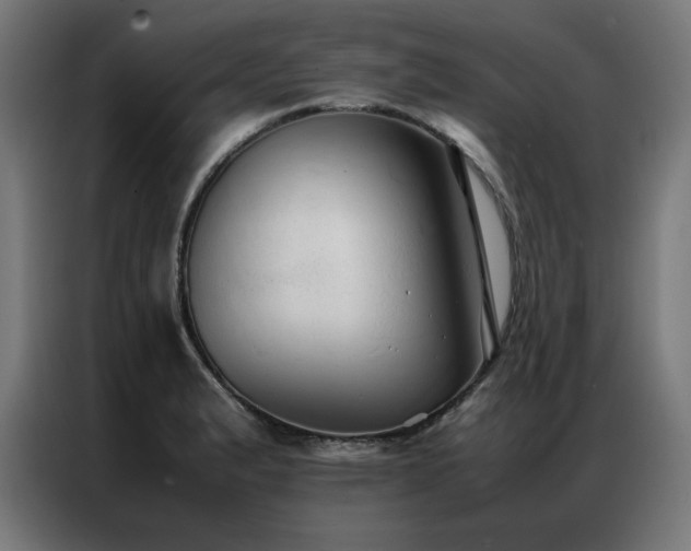 X0000086991183200704161500