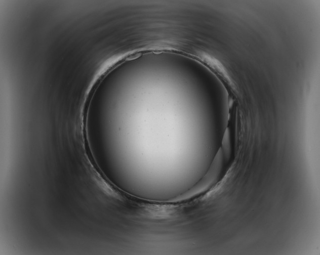 X0000086991184200704161500