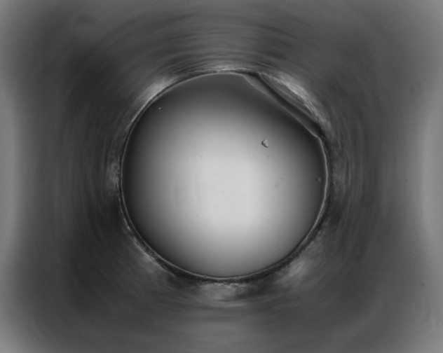 X0000086991185200704161500