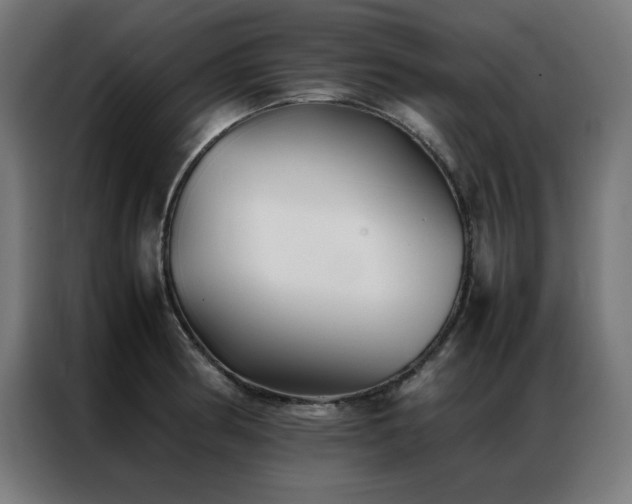 X0000086991186200704161500
