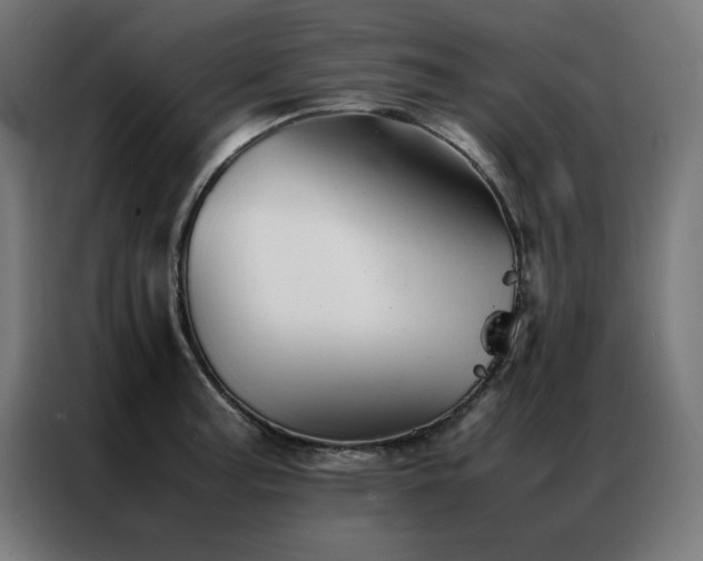 X0000086991187200704161500