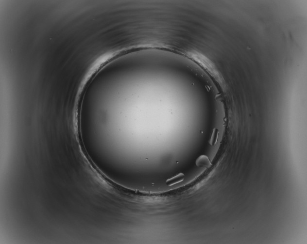 X0000086991188200704161500