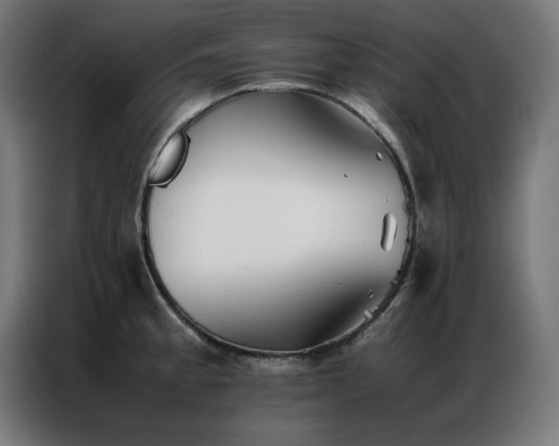 X0000086991189200704161500
