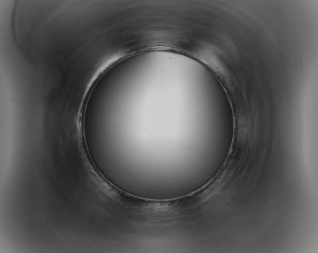 X0000086991190200704161500