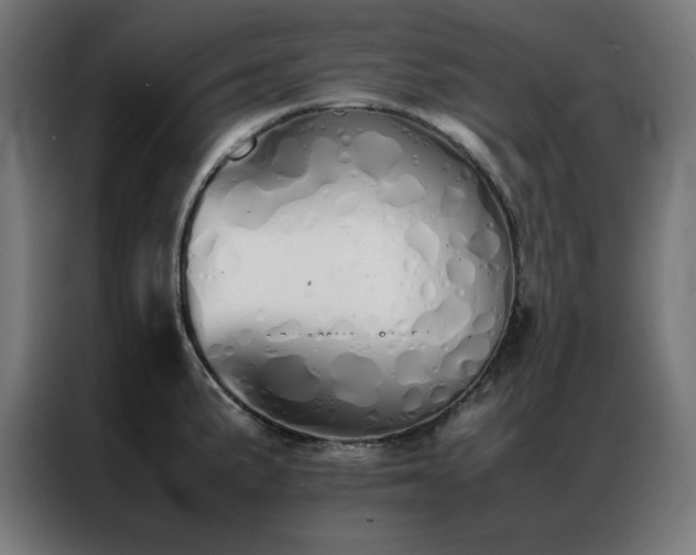 X0000086991191200704161500