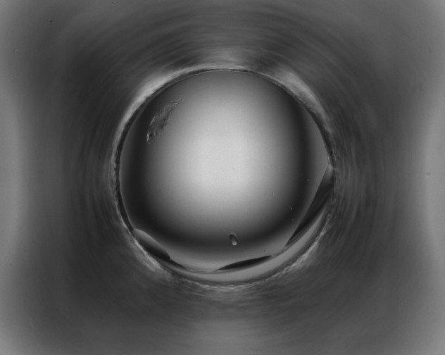 X0000086991192200704161500