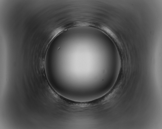 X0000086991193200704161500