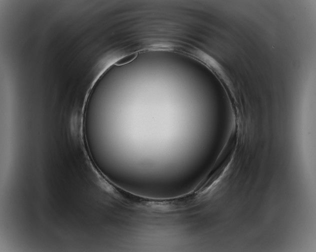 X0000086991194200704161500