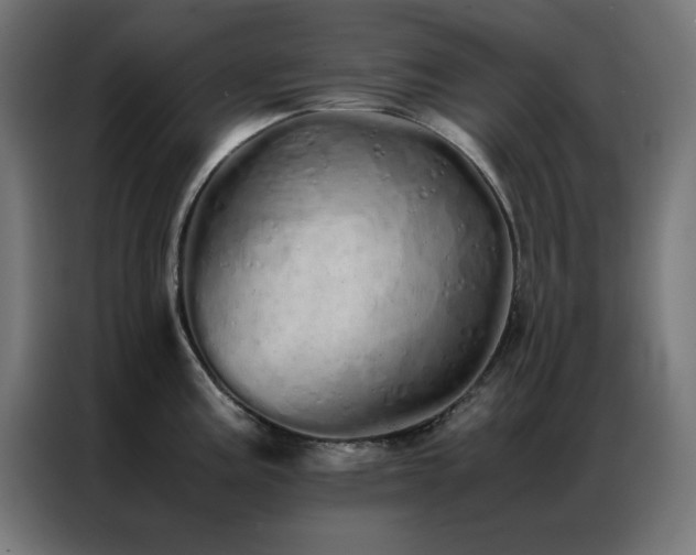 X0000086991195200704161500