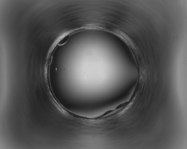 X0000086991196200704161500