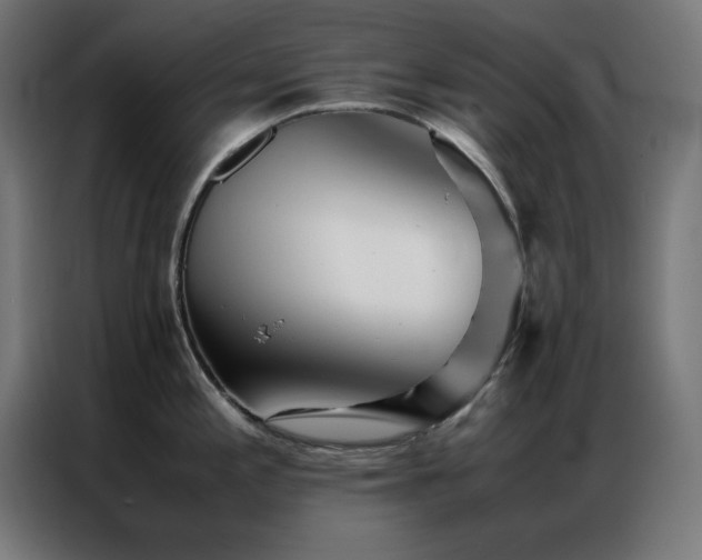 X0000086991197200704161500