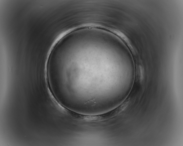 X0000086991199200704161500