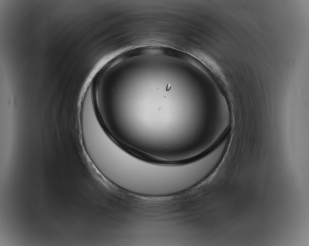 X0000086991200200704161500