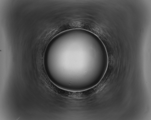 X0000086991201200704161500