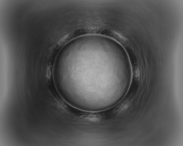 X0000086991204200704161500