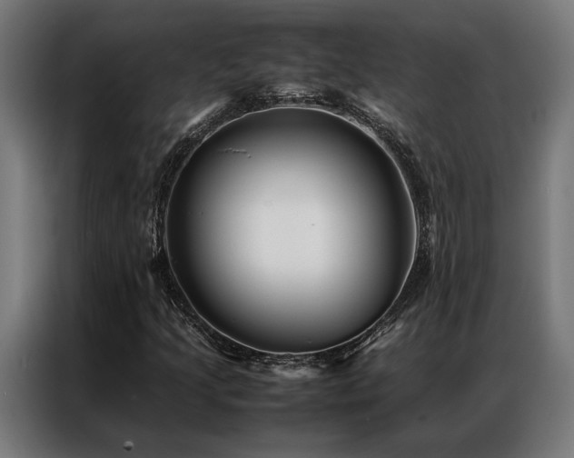 X0000086991205200704161500