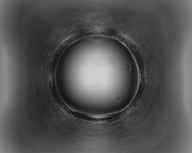 X0000086991206200704161500