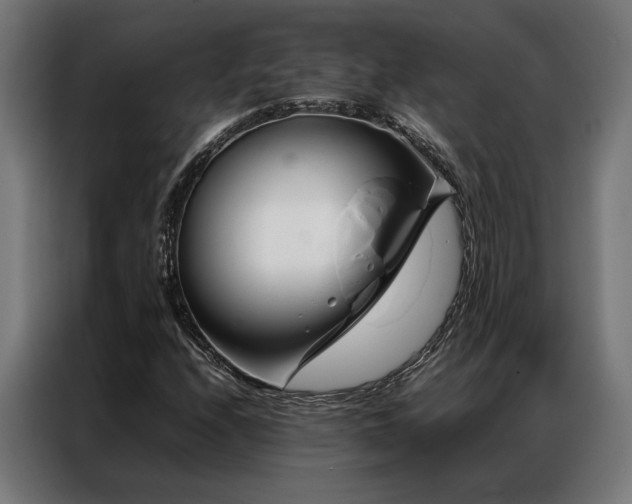 X0000086991208200704161500